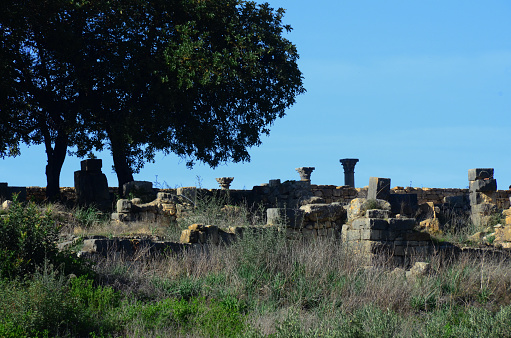 Image of the ruins of the city of Volubilis which was built by the Berbers in the 3rd Century BC, taken over by the Romans in the first century AD