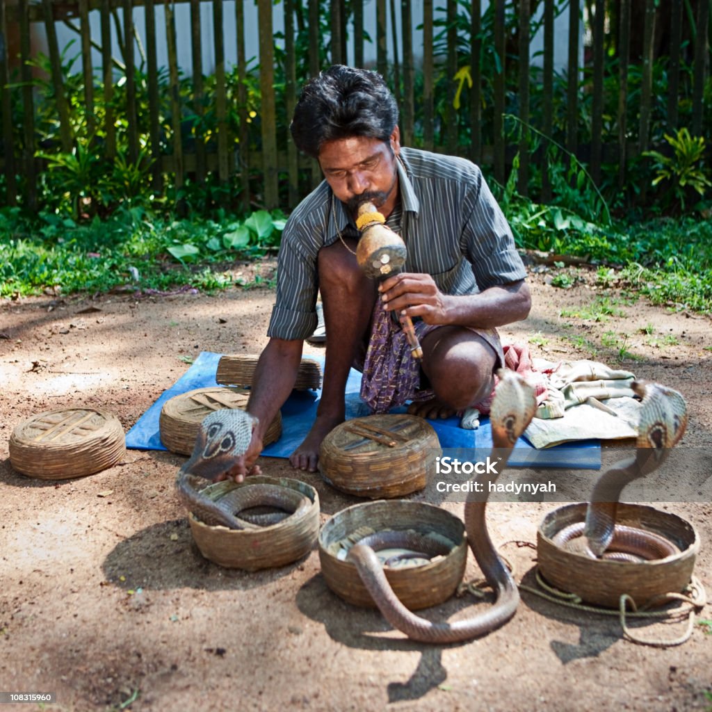 Indian Encantador de Serpentes - Royalty-free Adulto Foto de stock