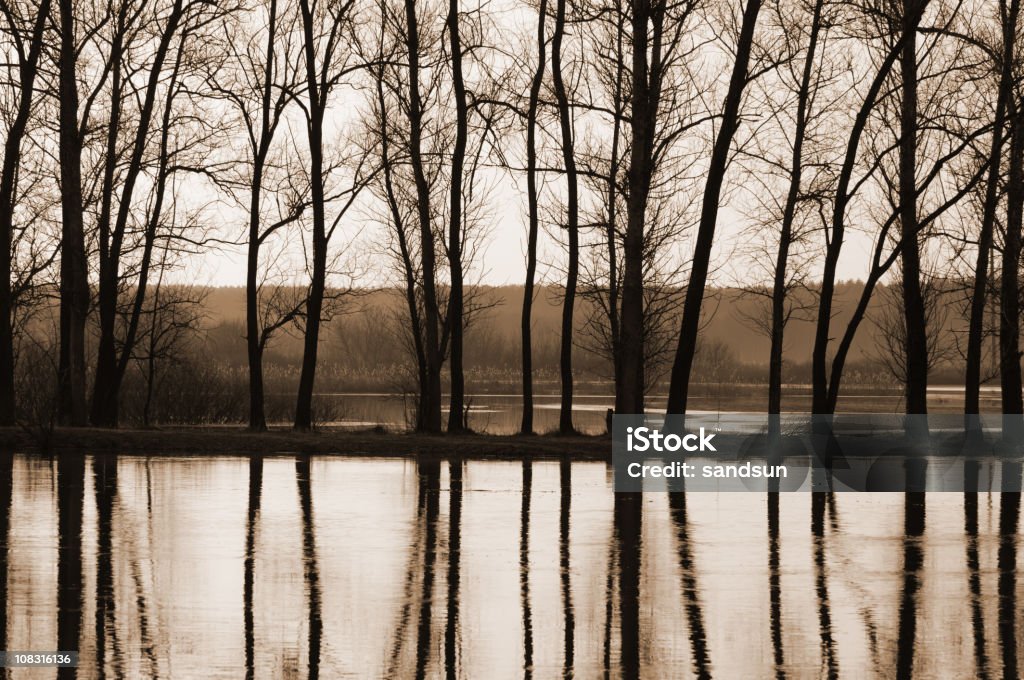 Fiume giallo - Foto stock royalty-free di Albero