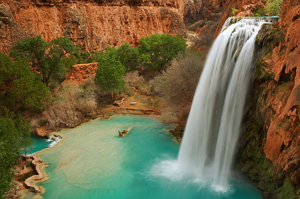 Havasu Falls in Arizona a slightly closer view of Havasu Falls, one of the most beautiful waterfalls in the USA. Taken at a slow exposure to soften the water into a silky flow.  havasu falls stock pictures, royalty-free photos & images