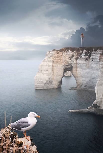 Sea landscape with stone bridge, lighthouse and seagull in Etretat (Normandie, France). Dramatic clouds sky.\n[url=http://www.istockphoto.com/file_search.php?action=file&lightboxID=6556059][img]https://lh5.googleusercontent.com/-3MYDv26QJ3I/UJluqdU7YGI/AAAAAAAAAFo/WRbKYsZM_wM/s380/vetta.jpg[/img][/url]\n[url=http://www.istockphoto.com/file_search.php?action=file&lightboxID=7374322][img]https://lh3.googleusercontent.com/-9PQlHQQhO9o/UJlukbiFDqI/AAAAAAAAAC8/KYarAR5Rxgo/s380/ba1.jpg[/img][/url] \n[url=http://www.istockphoto.com/file_search.php?action=file&lightboxID=1895180][img]https://lh6.googleusercontent.com/-KSSBmv0TcXk/UJlujoupLVI/AAAAAAAAACw/jGCcnjW8FVY/s380/ba.jpg[/img][/url]\n[url=http://www.istockphoto.com/file_search.php?action=file&lightboxID=7504693][img]https://lh4.googleusercontent.com/-EmMI74-447g/UJlum89G5UI/AAAAAAAAAEQ/B4WQb0essMQ/s380/ln.jpg[/img][/url]