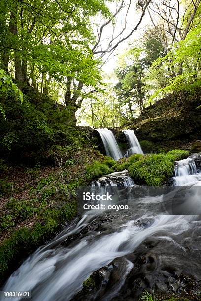 Foto de Queda De Água e mais fotos de stock de Beleza natural - Natureza - Beleza natural - Natureza, Cascata, Cena de tranquilidade