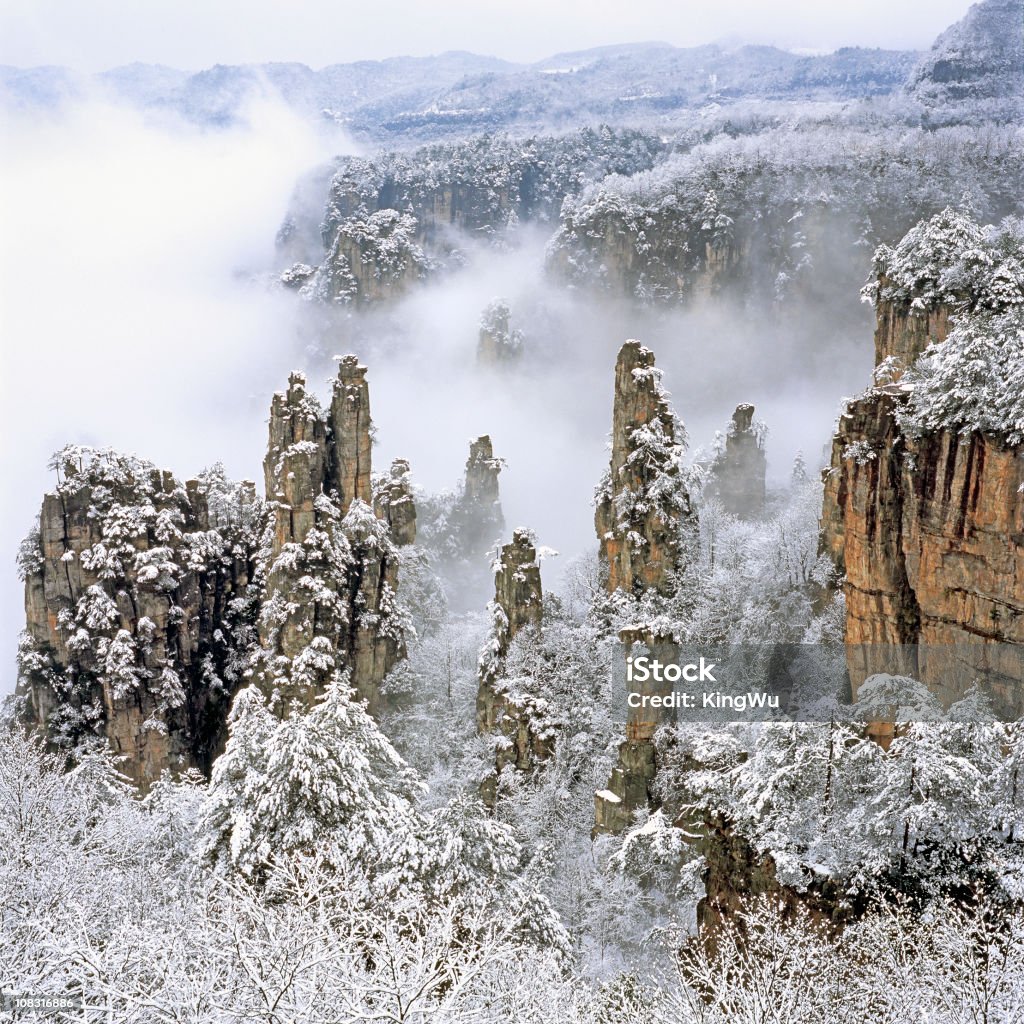 Foresta nazionale di Cina - Foto stock royalty-free di Zhangjiajie