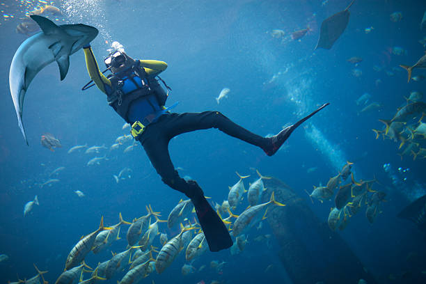 Diving - foto stock