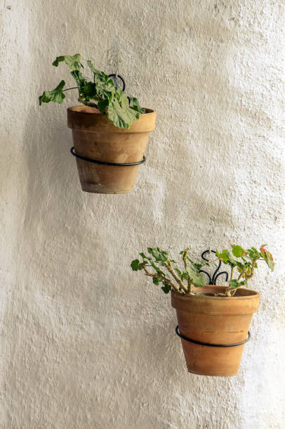 istock Two ceramic flower pots hanging from a white wall 1083216762