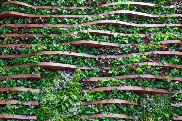 istock Vertical garden decoration on wooden wall. 1083225464