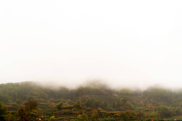clouds and fog over mountain forest