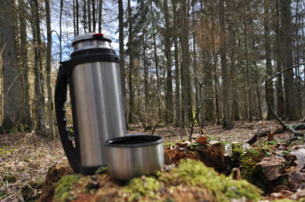 istock Hot tea in thermos for a walk in the woods while resting 1083237424