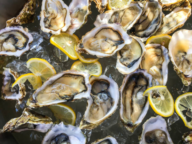 生牡蠣とレモン スライス - pacific oyster ストックフォトと画像