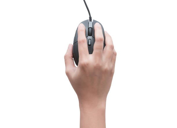 istock Top view of female hands clicking computer mouse isolated on white background 1083257990