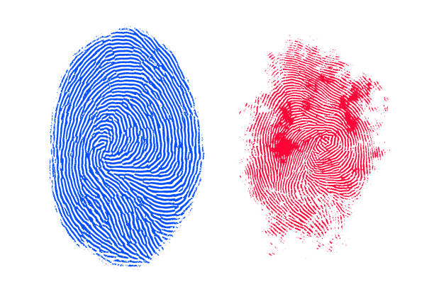 istock Good and bad fingerprint isolated 1083266664