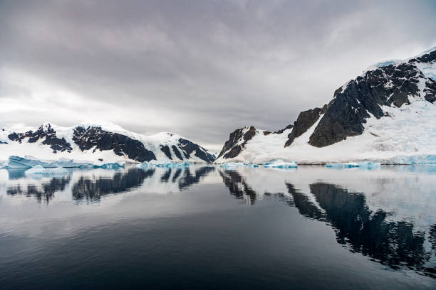 riflessioni antartiche del canale neumeyer - uncultivated snow ice antarctica foto e immagini stock