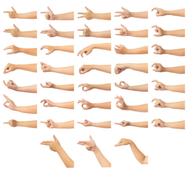 Human hand isolate on white background Set of human hand in multiple gesture isolate on white background with clipping path, Low contrast for retouch or graphic design meditation hands stock pictures, royalty-free photos & images