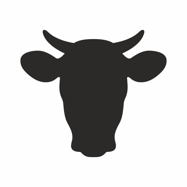 Cow icon Vector icon isolated on white background meat silhouettes stock illustrations