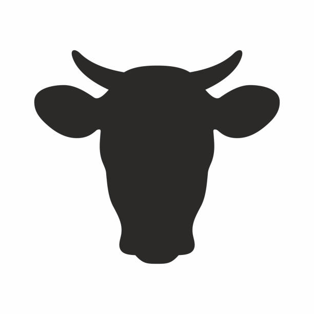 Cow icon Vector icon isolated on white background beef stock illustrations