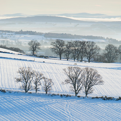 A photo of winter landscape in Danmak