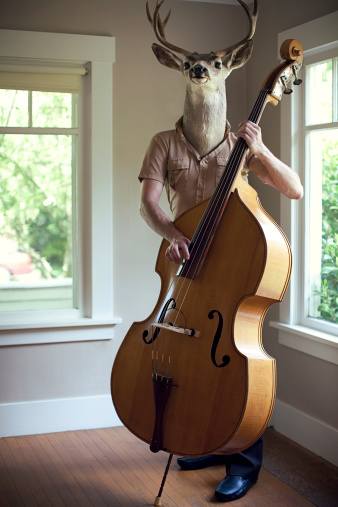 A buck / deer head on a mans body practices upright bass guitar in his living room.