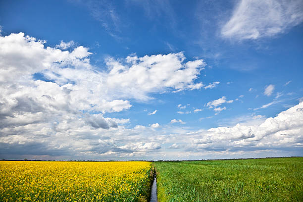 céu e campos agrícolas, na itália - padan plain - fotografias e filmes do acervo