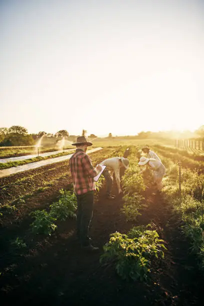 Photo of Working together to keep the farm producing