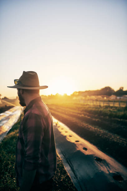 istock It takes a keen eye to manage a farm 1083286600