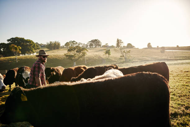 istock The number one asset on a dairy farm 1083286608