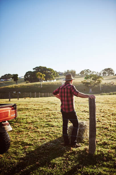 istock Keeping a close eye on the herd 1083286614