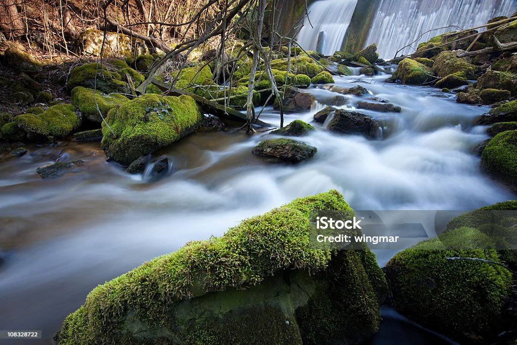 wild cascata com água corrente - Royalty-free Allgau Foto de stock