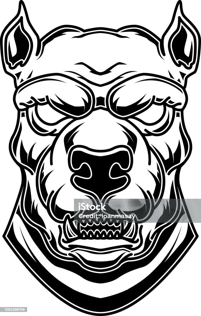 Pitbull head illustration in engraving style. Design element for label, sign, poster, t shirt. Pitbull head illustration in engraving style. Design element for label, sign, poster, t shirt. Vector illustration Aggression stock vector