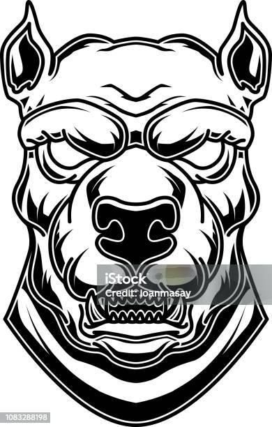 Pitbull Head Illustration In Engraving Style Design Element For Label Sign Poster T Shirt Stock Illustration - Download Image Now