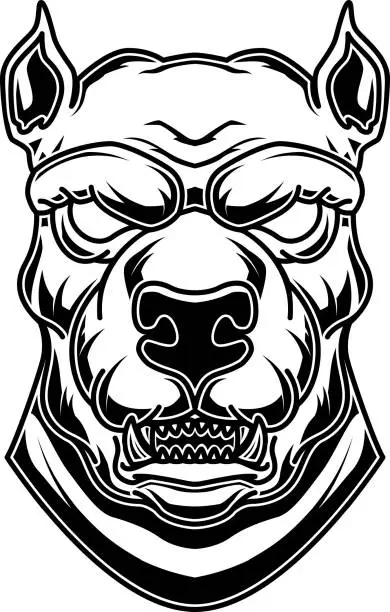 Vector illustration of Pitbull head illustration in engraving style. Design element for label, sign, poster, t shirt.