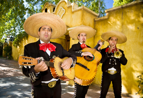 human skull, mexican hat, guitar and sunflowers for day of the dead