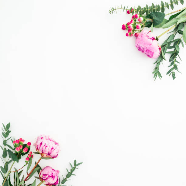 istock Floral frame of pink peonies and eucalyptus branches on white background. Flat lay, top view 1083288850