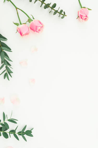 istock Floral frame of pink roses and eucalyptus branches on white background. Copy space. Flat lay, top view 1083288988