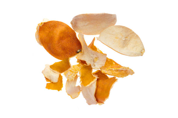Dry peel of orange, isolated on white background