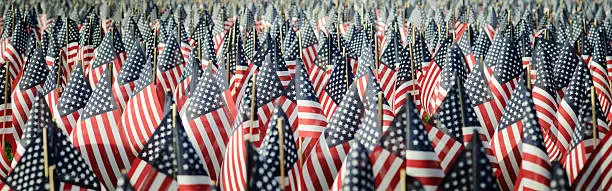 Photo of Panoramic image of an array of Memorial Day flags