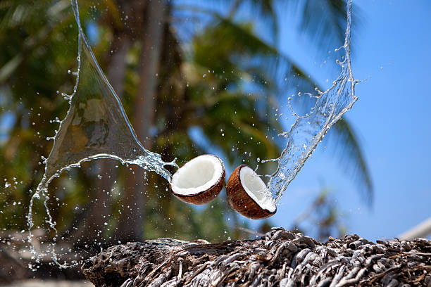 coconut water splashing  cocos stock pictures, royalty-free photos & images