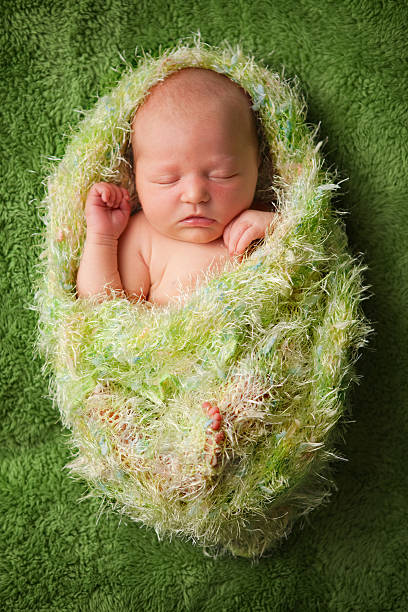 Newborn Baby Wrapped in Fuzzy Blanket
