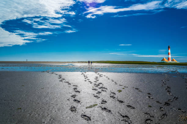 wanderung zum leuchtturm - ebb tide stock-fotos und bilder