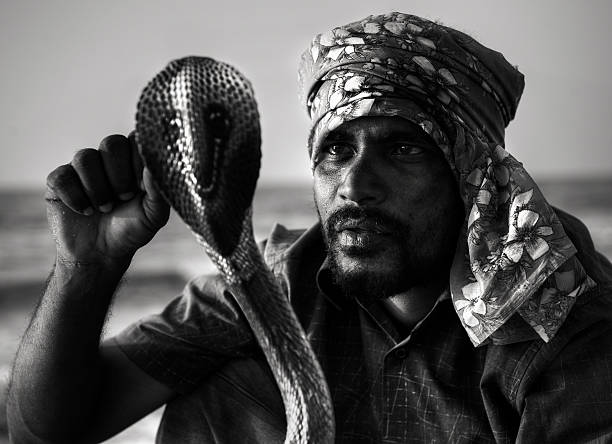 Snake Charmer.  snakes beard stock pictures, royalty-free photos & images
