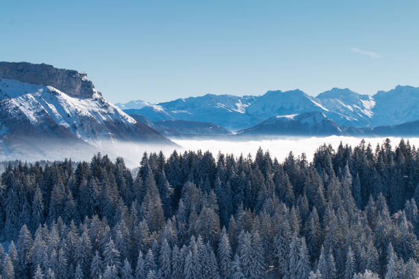View from Mont Revard in the Bauges
