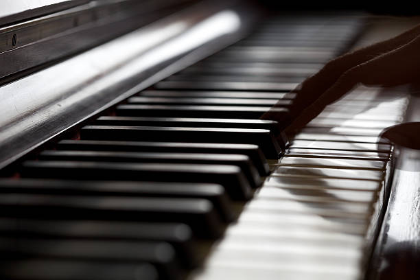 istock Musician playing a piano - blurred motion fingers. 108329616