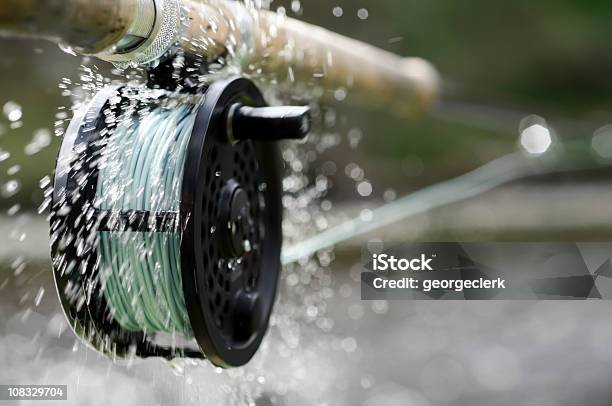 Fly Fishing Action Stock Photo - Download Image Now - Fly-fishing, Fishing, Trout Fishing