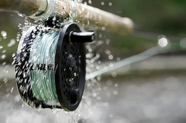 A fly fishing reel sends water flying as it spins at high speed while letting the line out fast.  

[url=file_closeup?id=20420279][img]/file_thumbview/20420279/2[/img][/url] 
[url=file_closeup?id=14779682][img]/file_thumbview/14779682/3[/img][/url] [url=file_closeup?id=21883221][img]/file_thumbview/21883221/3[/img][/url] [url=file_closeup?id=10579568][img]/file_thumbview/10579568/3[/img][/url] [url=file_closeup?id=17335384][img]/file_thumbview/17335384/3[/img][/url] [url=file_closeup?id=14102130][img]/file_thumbview/14102130/3[/img][/url] [url=file_closeup?id=21945098][img]/file_thumbview/21945098/3[/img][/url] [url=file_closeup?id=29633252][img]/file_thumbview/29633252/3[/img][/url]
[url=file_closeup?id=19255209][img]/file_thumbview/19255209/3[/img][/url] [url=file_closeup?id=16602534][img]/file_thumbview/16602534/3[/img][/url] [url=file_closeup?id=20295451][img]/file_thumbview/20295451/3[/img][/url]