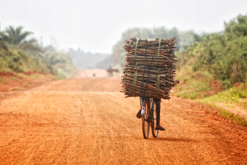 bicycle with load of firewood on african road.