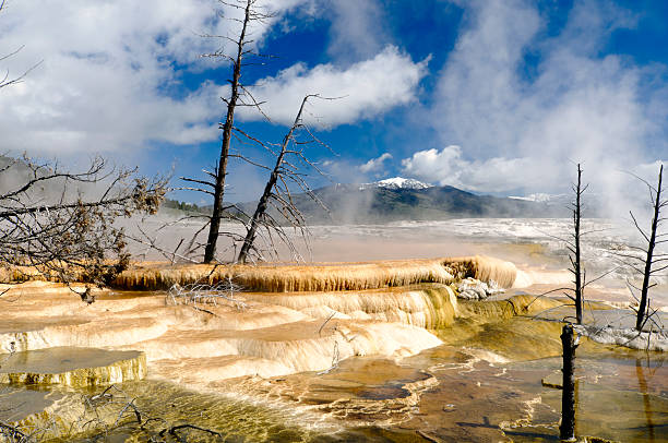 Vibrant colors and intricate designs emerge from the ground in a geothermal area. The diverse minerals create a captivating view under bright sunlight, showcasing nature's artistry.