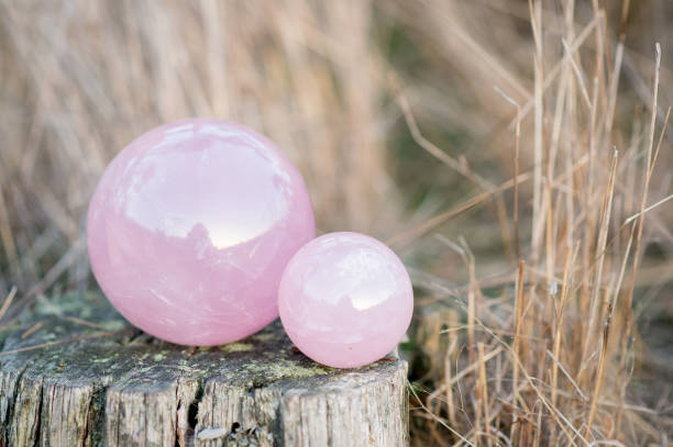 2 rose quartz crystal balls in different sizes laying on a tree in the forest