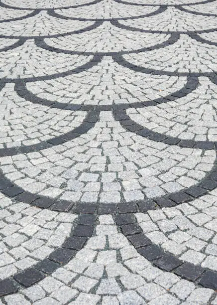 Paving stones in scale pattern