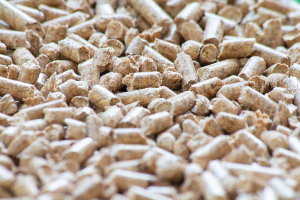 istock Wood pellets 1083304960