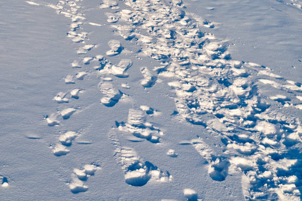 istock People's feet in the snow. 1083306822