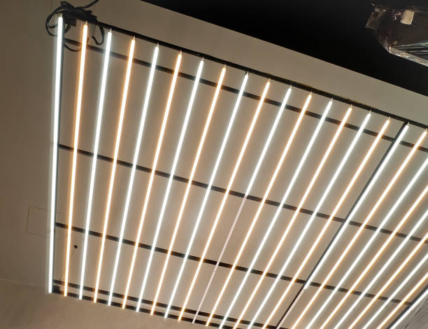 istock A row of  lights on a ceilling. 1083307552